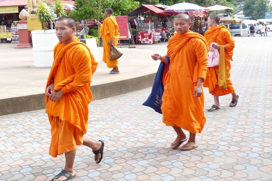 fot. Darek Dąbrowski fot. Darek Dąbrowski