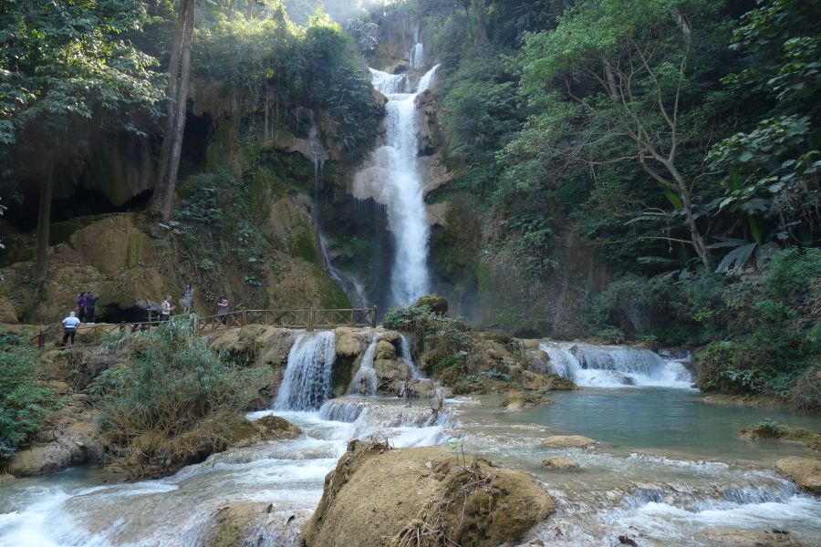 fot. Darek Dąbrowski fot. Darek Dąbrowski