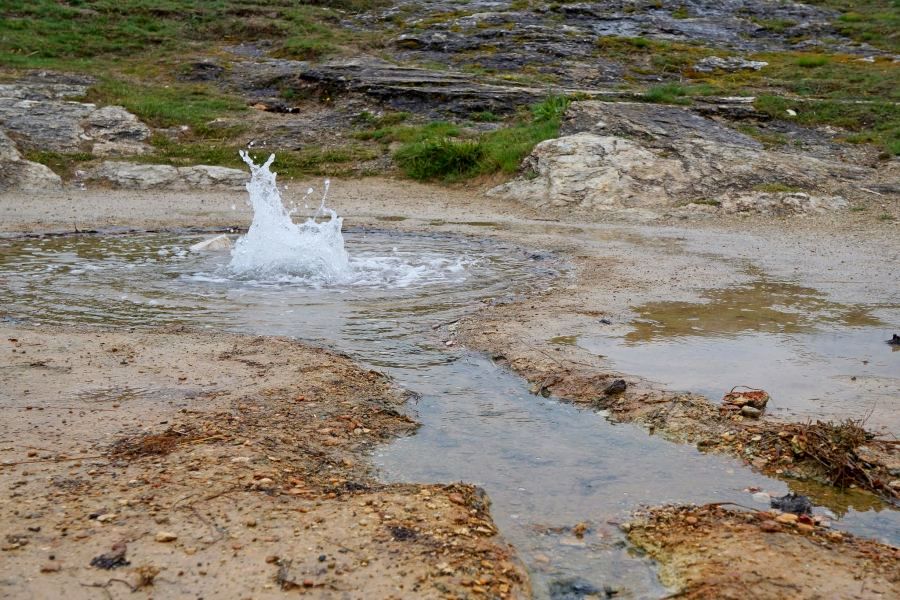 fot. Mirosława Jeż