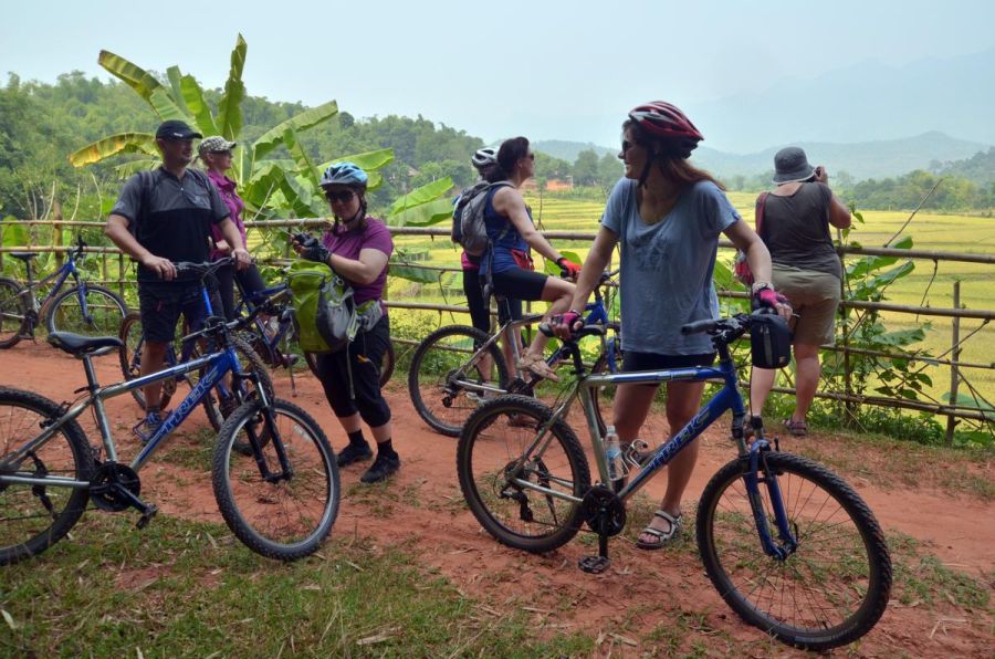 Wśród pól ryżowych (fot. Krzysztof Dopierała)