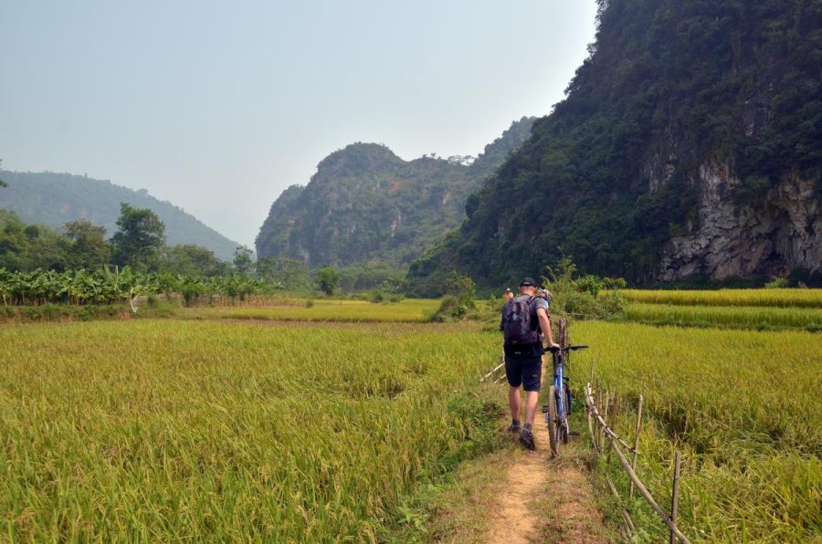 Przejazd przez pole ryżowe (fot. Krzysztof Dopierała)