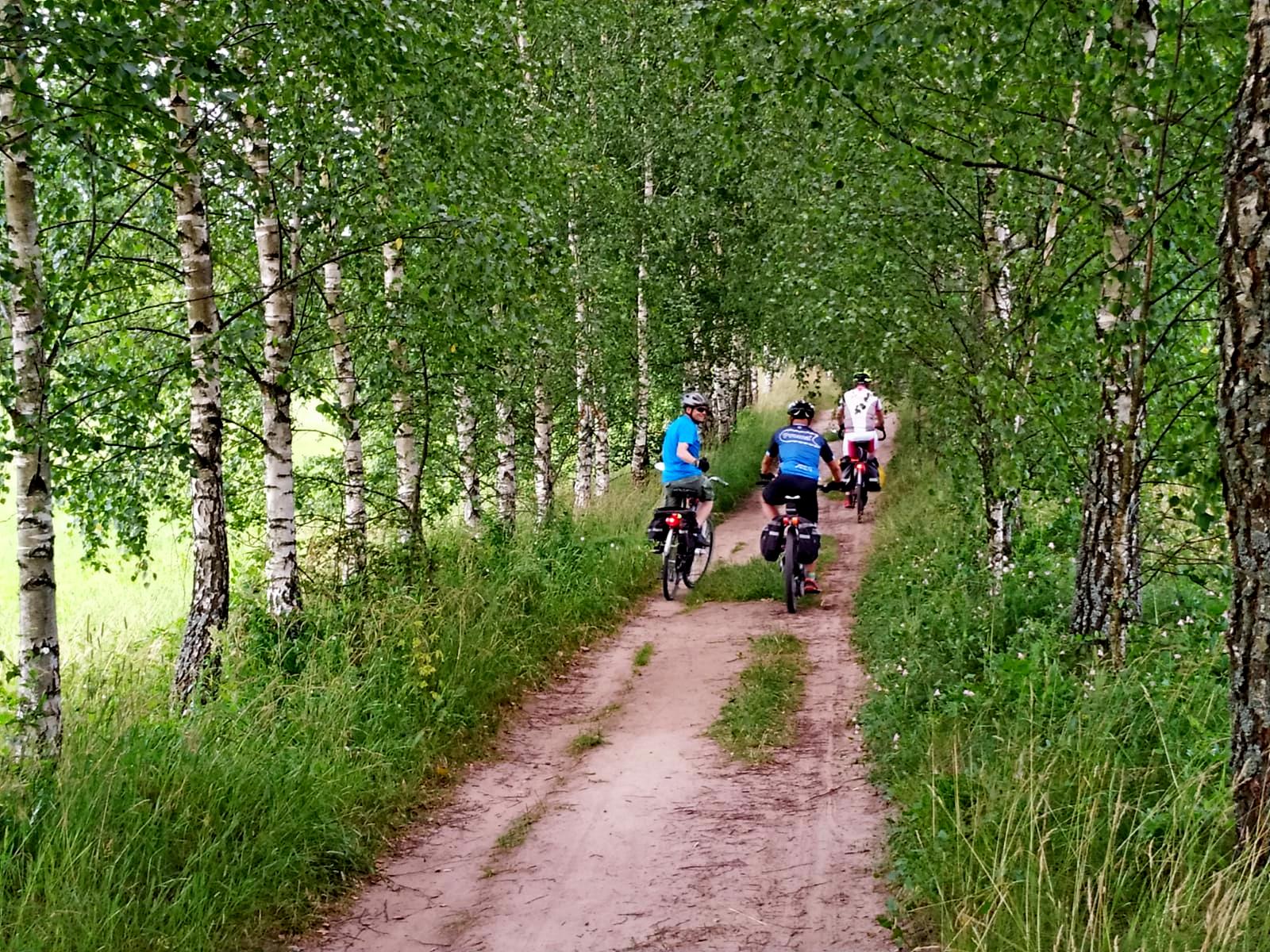 (fot. Rafał Bartosz) (fot. Rafał Bartosz)