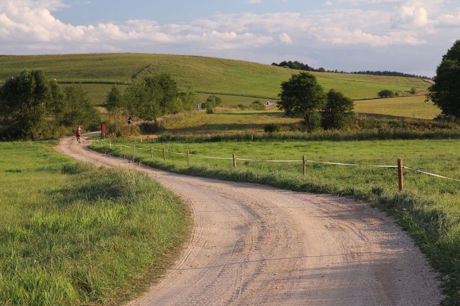 Drogą polną (fot. Rafał Bartosz) Drogą polną (fot. Rafał Bartosz)