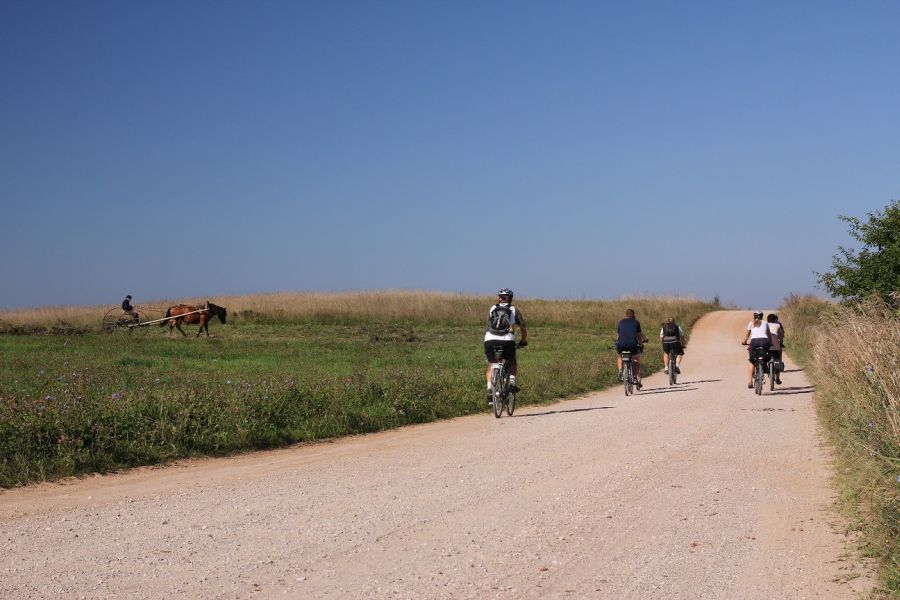 W Nowodworskim Parku Regionalnym (fot. Rafał Bartosz) W Nowodworskim Parku Regionalnym (fot. Rafał Bartosz)