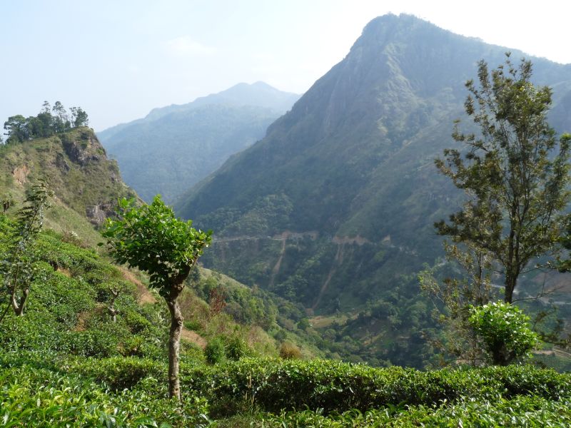 Widok na Ella Rock (fot. Darek Dąbrowski)