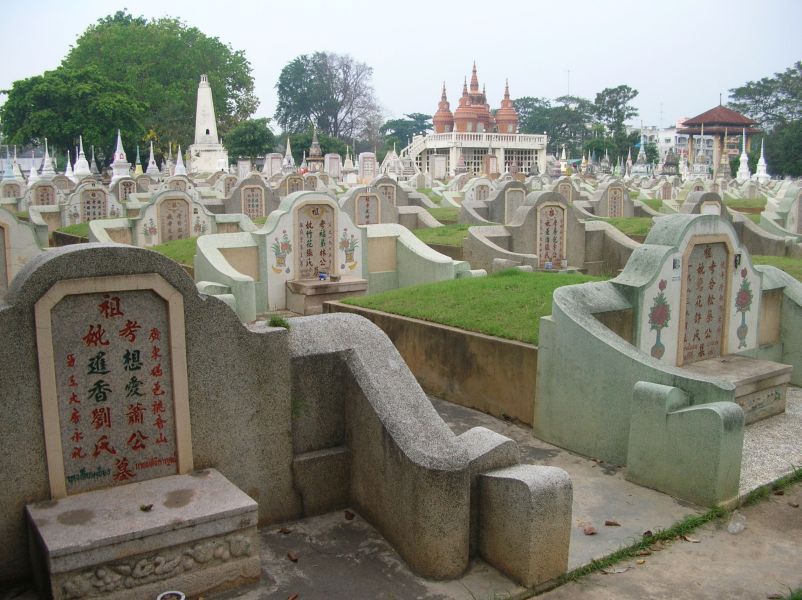 fot. Darek Dąbrowski