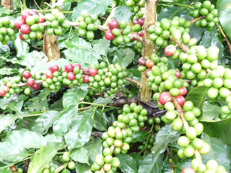 fot. Darek Dąbrowski fot. Darek Dąbrowski