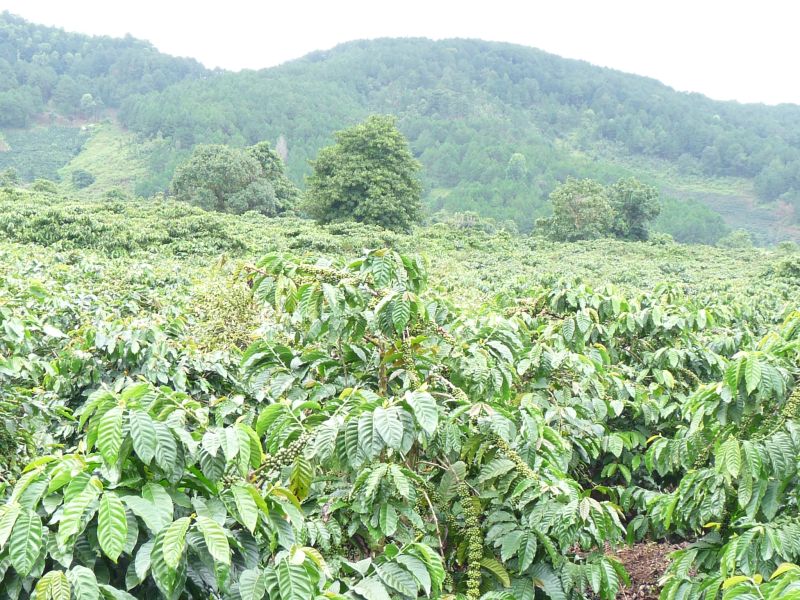 fot. Darek Dąbrowski fot. Darek Dąbrowski