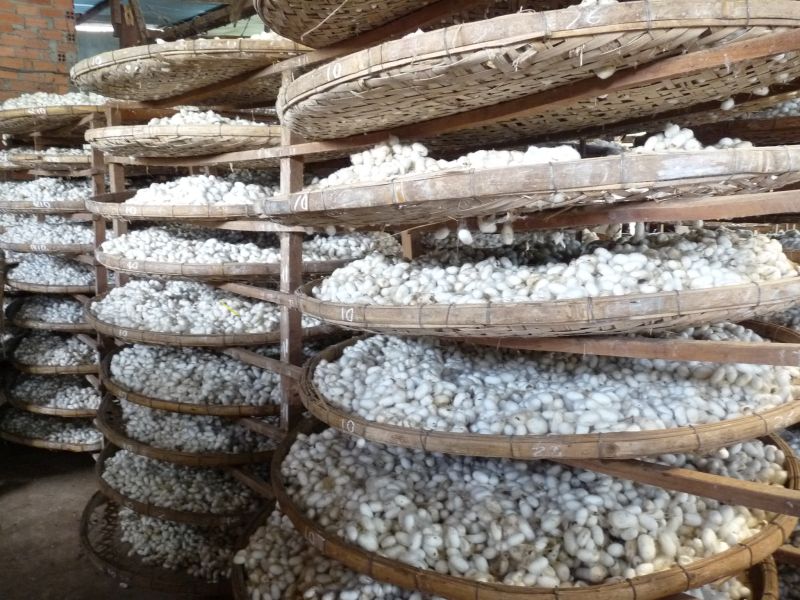 fot. Darek Dąbrowski fot. Darek Dąbrowski