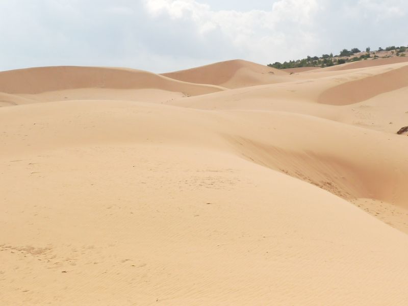 fot. Darek Dąbrowski fot. Darek Dąbrowski