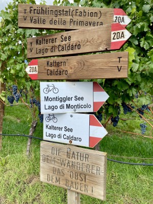 fot. Michał Skokowski 