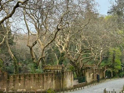 Sintra - park Pena, fot. B. Zajkowska
