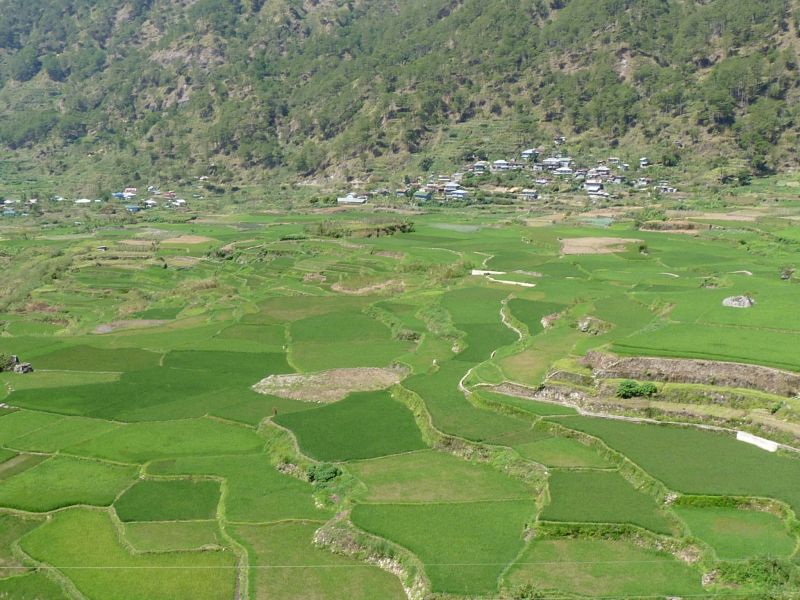 Pola ryżowe w okolicy Sagady (fot. Darek Dąbrowski) Pola ryżowe w okolicy Sagady (fot. Darek Dąbrowski)
