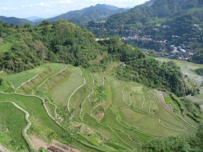 Tarasowe pola ryżowe w okolicy Banaue (fot. Darek Dąbrowski) Tarasowe pola ryżowe w okolicy Banaue (fot. Darek Dąbrowski)