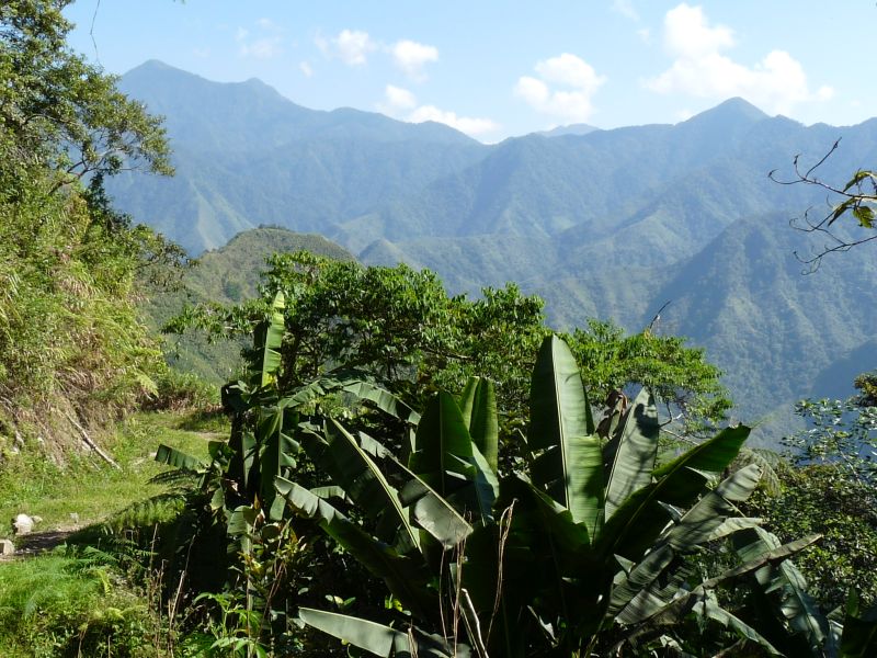 Droga do Batad (fot. Darek Dąbrowski) Droga do Batad (fot. Darek Dąbrowski)