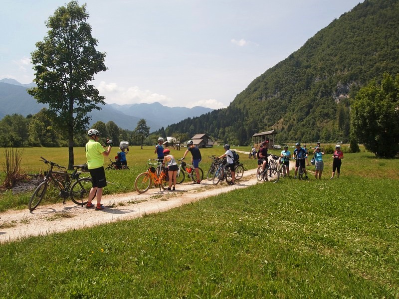 fot. Janusz Kiciński fot. Janusz Kiciński