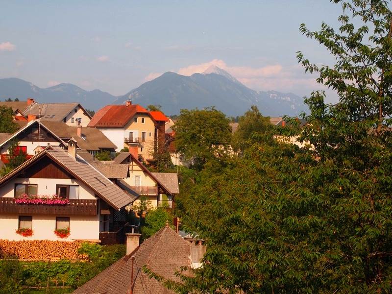 fot. Janusz Kiciński fot. Janusz Kiciński