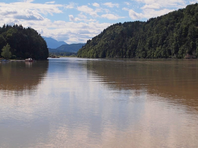 fot. Janusz Kiciński fot. Janusz Kiciński