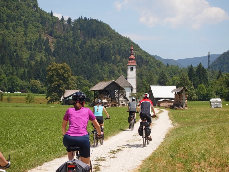 fot. Janusz Kiciński fot. Janusz Kiciński