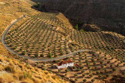 Andaluzyjski interior (fot. S. Adamczak, okfoto.pl)