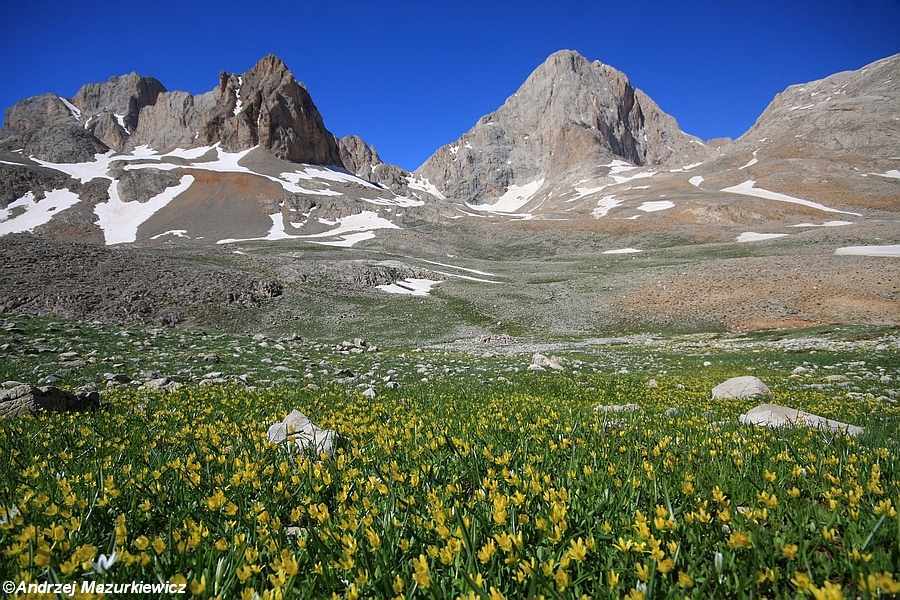 fot. Katarzyna Mazurkiewicz fot. Katarzyna Mazurkiewicz