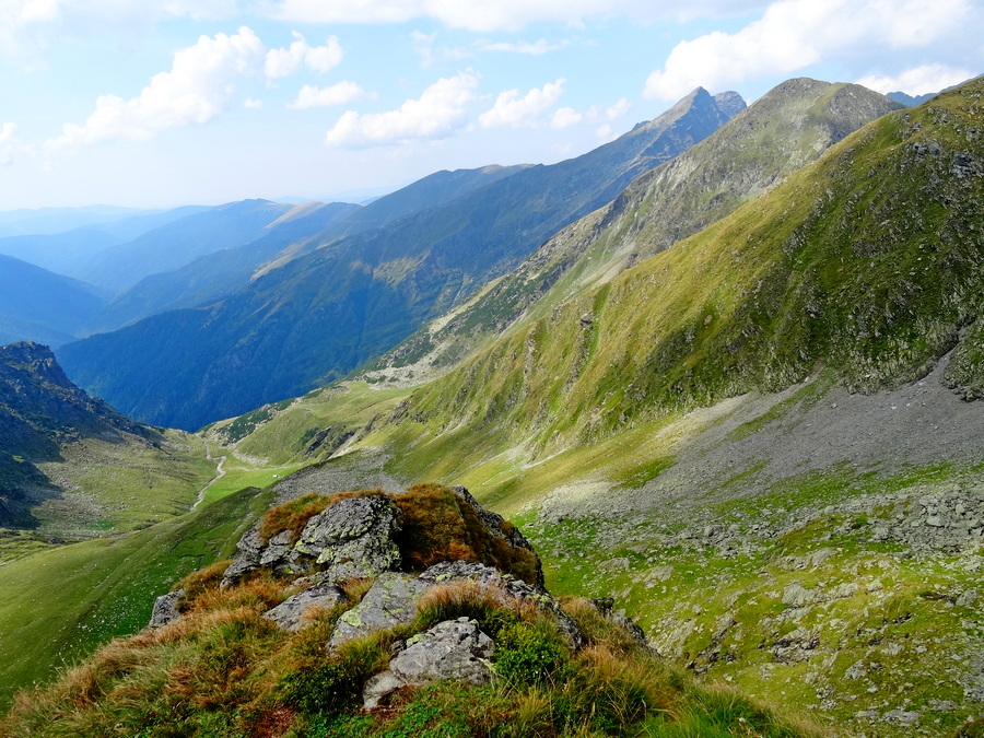 fot. Maria Czub fot. Maria Czub