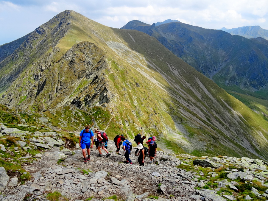 fot. Maria Czub fot. Maria Czub