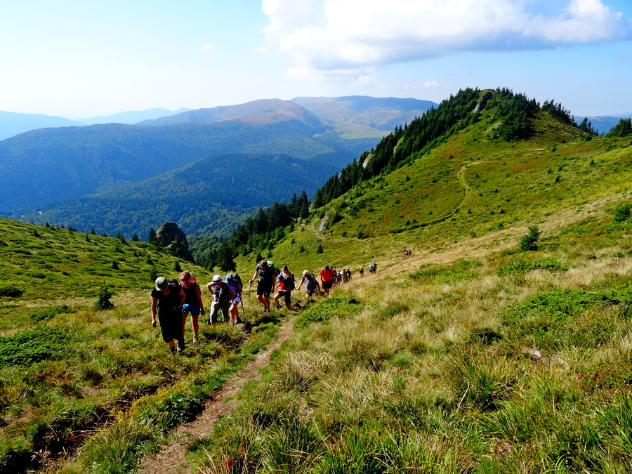 fot. Maria Czub fot. Maria Czub