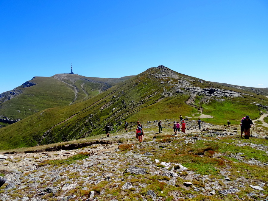 fot. Maria Czub fot. Maria Czub