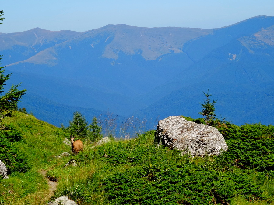 fot. Maria Czub fot. Maria Czub