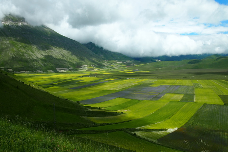 Płaskowyż Castelluccio (fot. Krzysztof Korn)