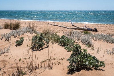 Okolica Marinella di Selinunte (fot. Marek Danielak)