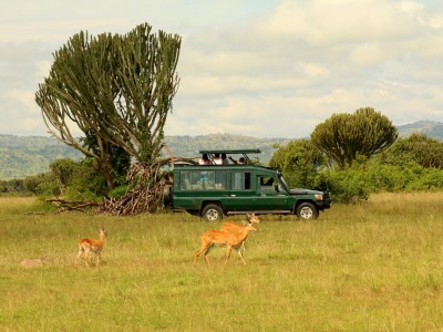 Safari w Parku Narodowy Queen Elizabeth, fot. T. Liptak