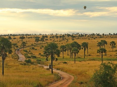 Safari w Parku Narodowym Murchison Falls, fot. T. Liptak