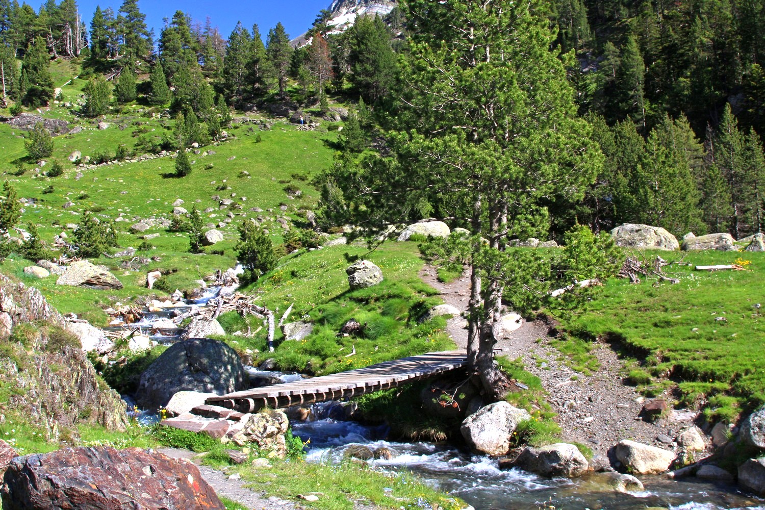 w dolinie Benasque, fot. T. Liptak w dolinie Benasque, fot. T. Liptak