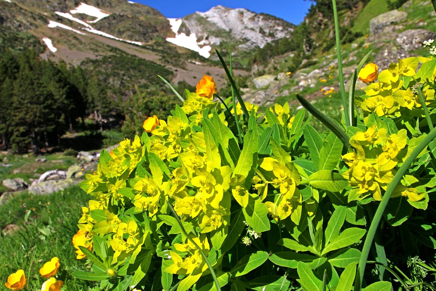 w dolinie Benasque, fot. T. Liptak w dolinie Benasque, fot. T. Liptak