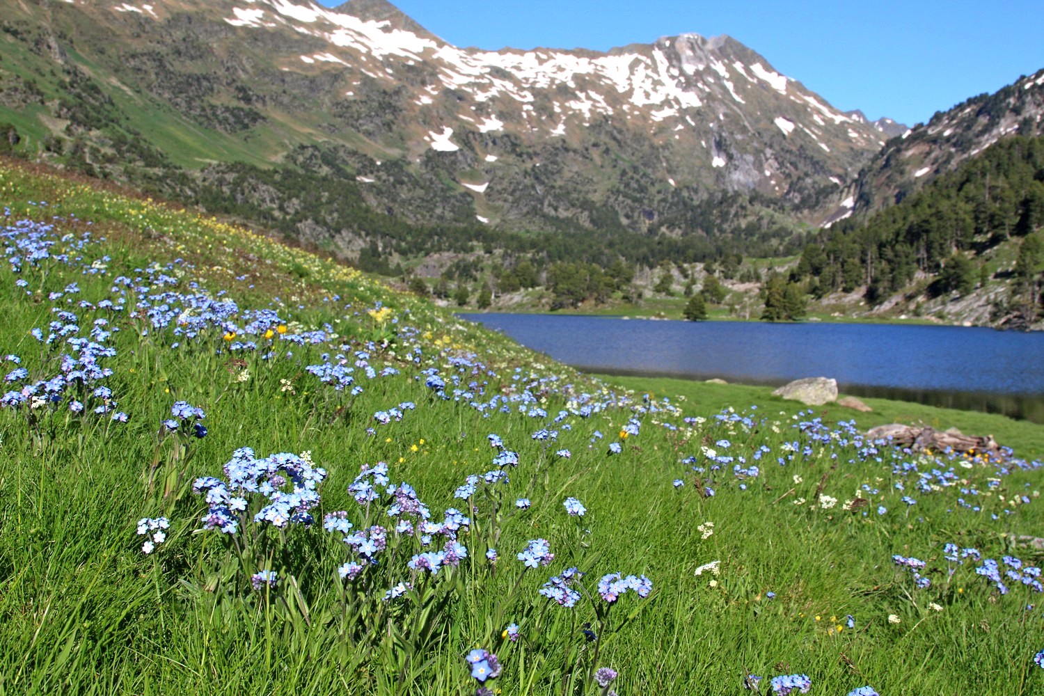 okolice Pico de Aneto, fot. T. Liptak okolice Pico de Aneto, fot. T. Liptak