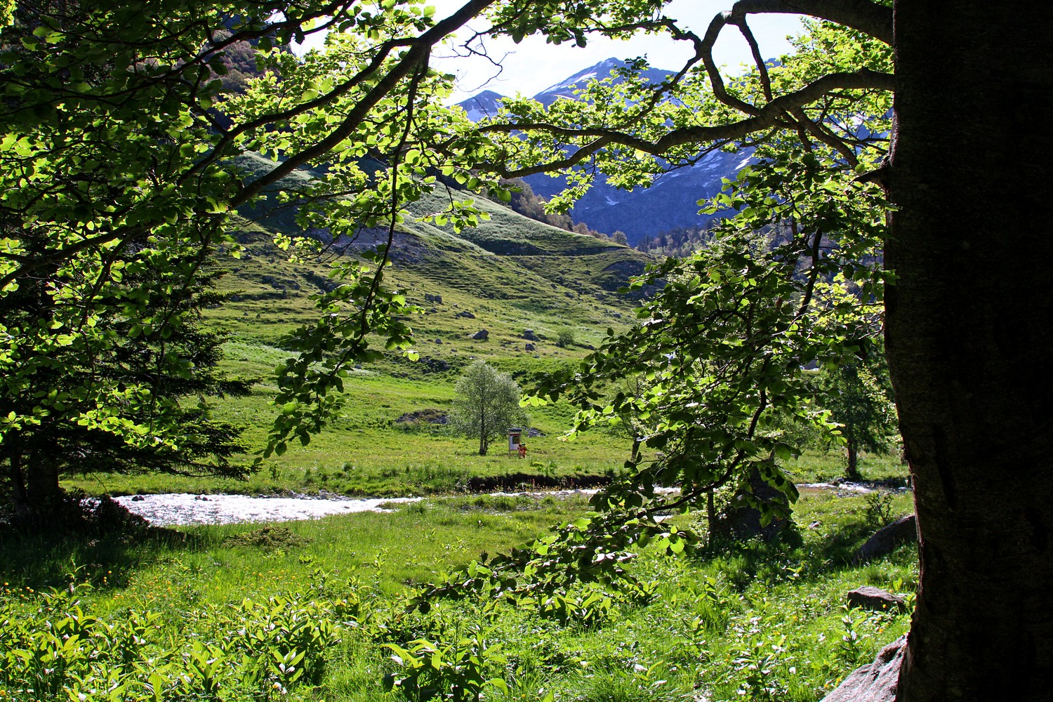 okolice Pico de Aneto, fot. T. Liptak okolice Pico de Aneto, fot. T. Liptak