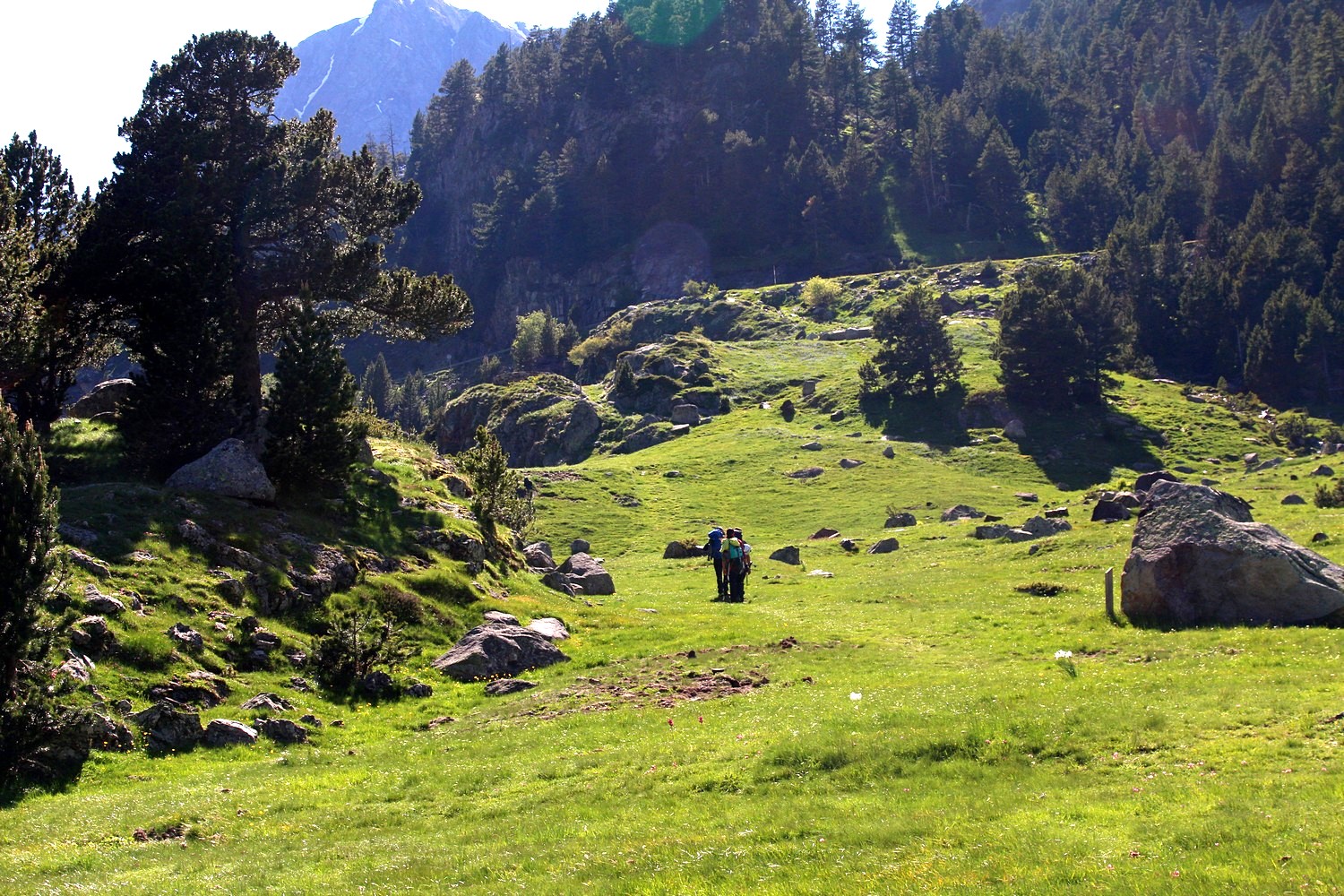 w dolinie Benasque, fot. T. Liptak w dolinie Benasque, fot. T. Liptak