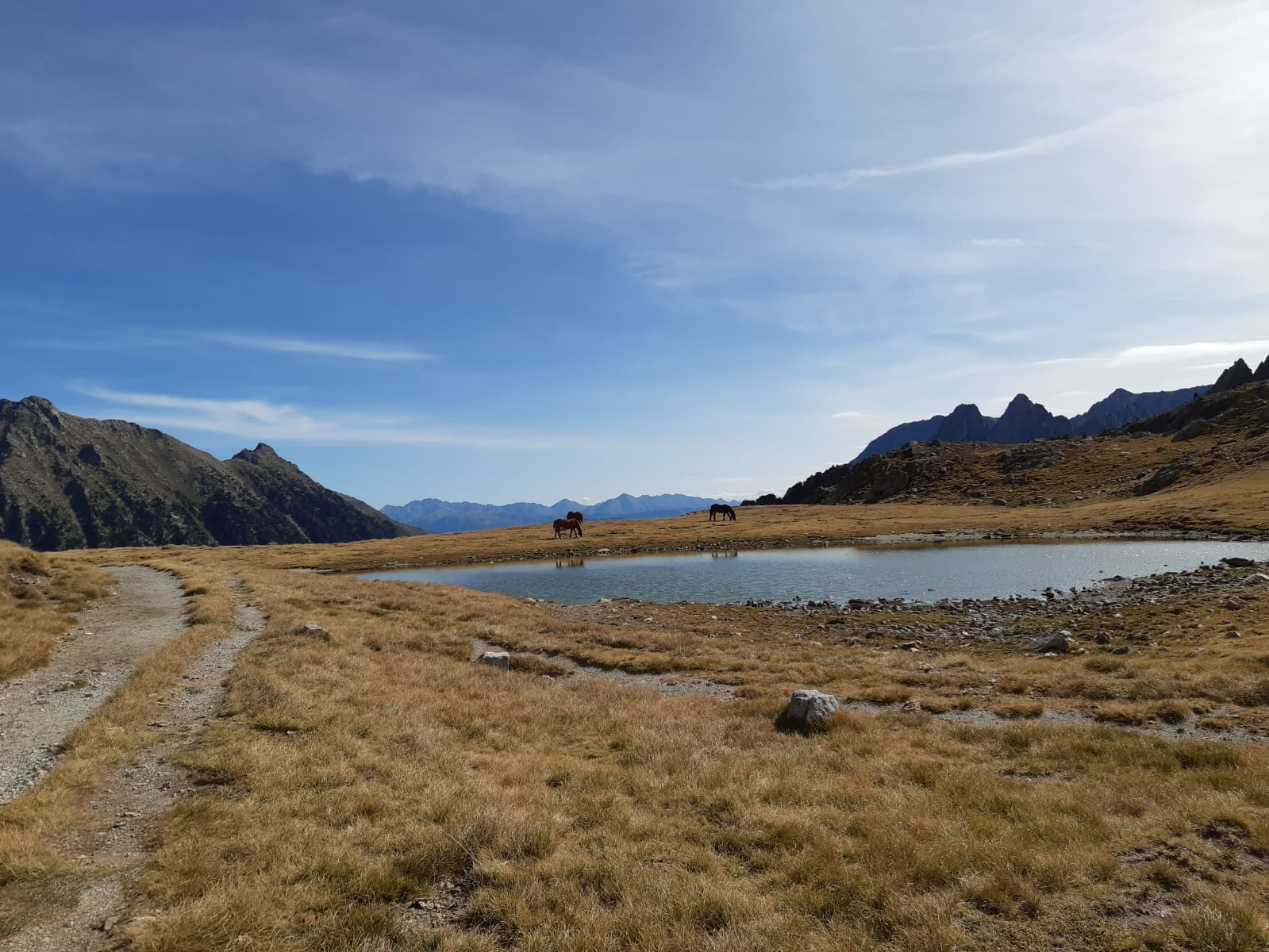 fot. Sebastian Kopera fot. Sebastian Kopera