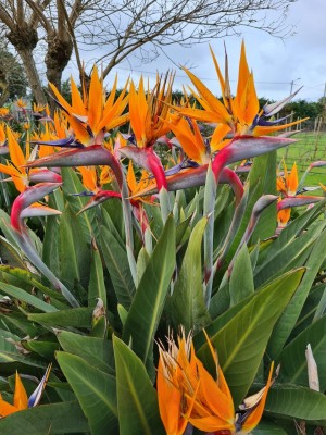 fot. Renata Sadko-Nóbrega