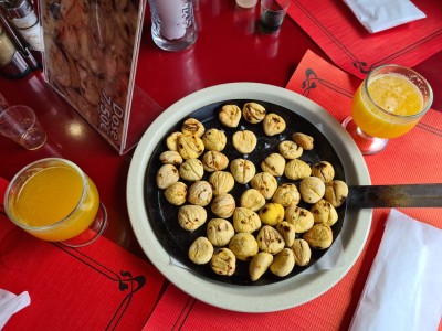 fot. Renata Sadko-Nóbrega