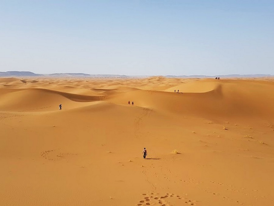 fot. Marek Domański