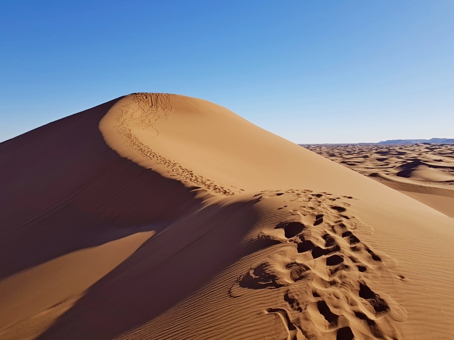 fot. Andreas Scheiterbauer