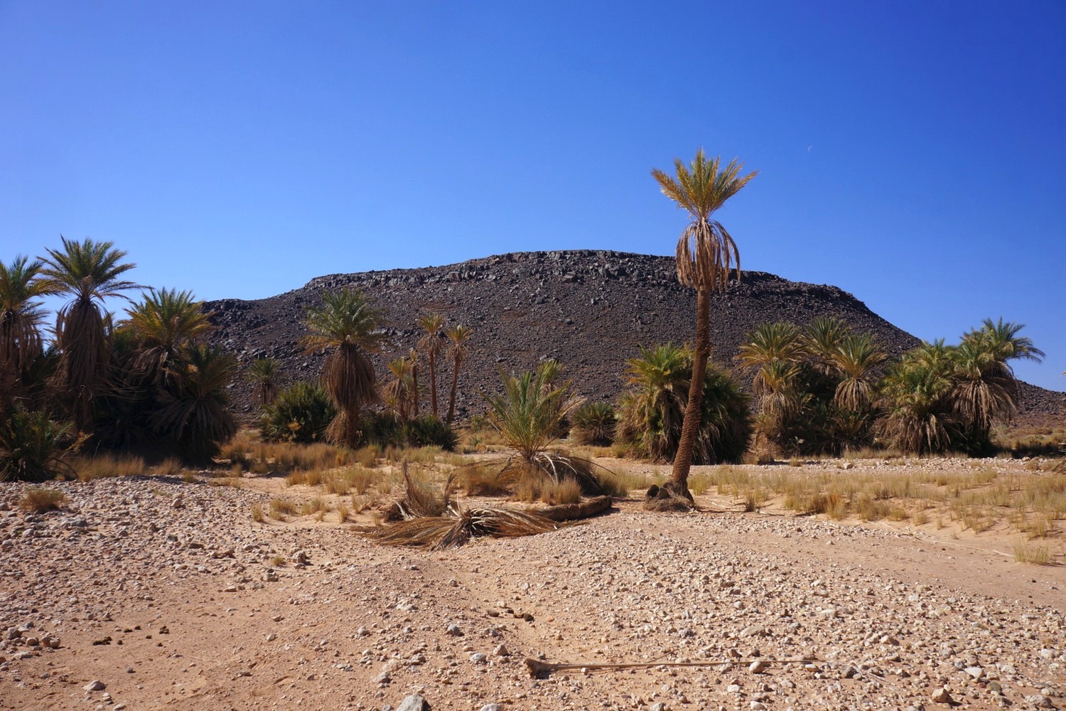 Marokańskie krajobrazy (fot. Mateusz Kołakowski)