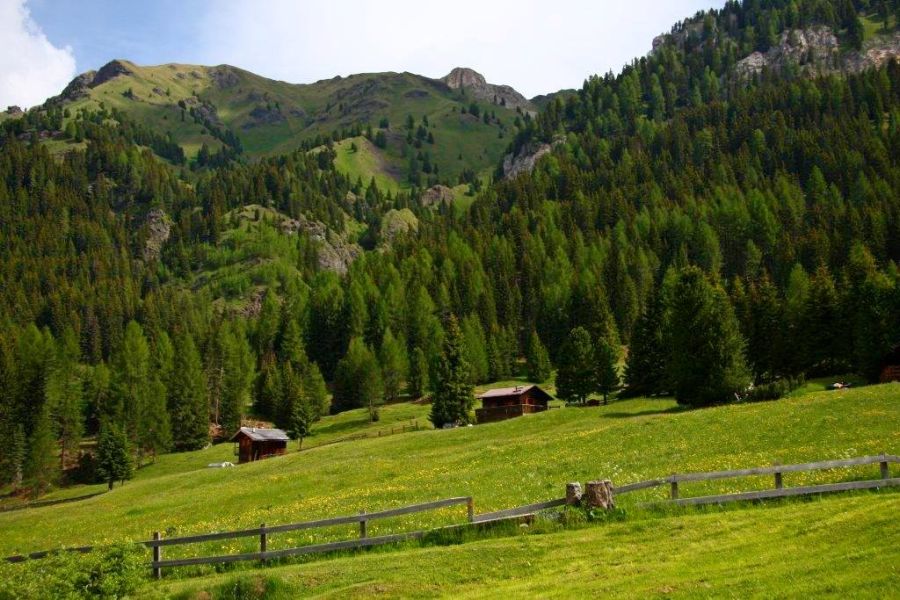 fot. Mariola Piekut fot. Mariola Piekut