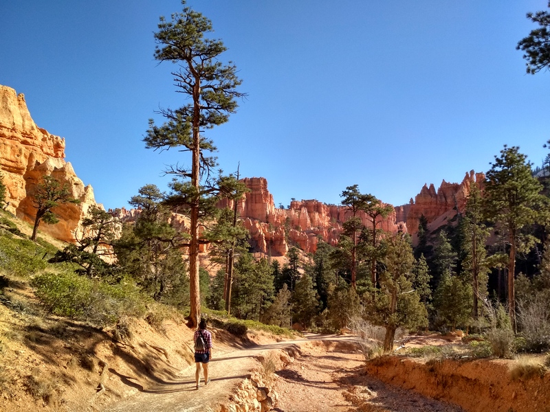 Bryce NP (fot. Krzysztof Korn)