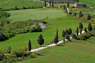 malownicze ścieżki którymi spacerujemy, fot. T. Liptak malownicze ścieżki którymi spacerujemy, fot. T. Liptak