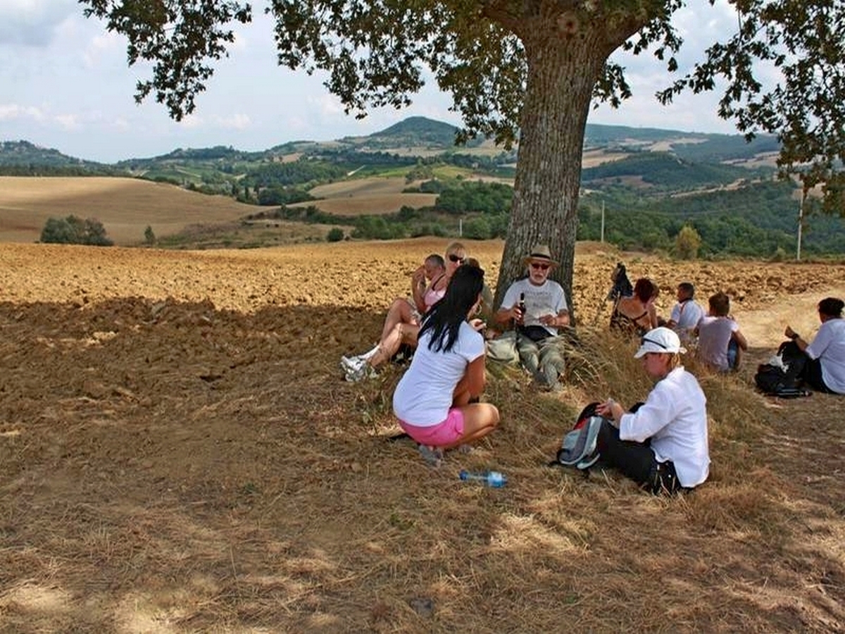 Czas na piknik, Czas na piknik,