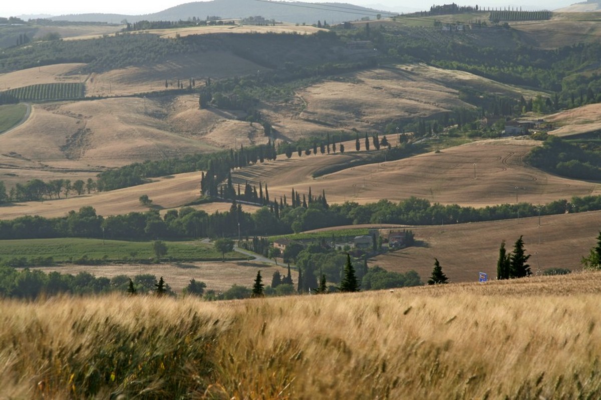 Dolina d'Orcia - klasyka Toskanii, (fot. T. Liptak) Dolina d'Orcia - klasyka Toskanii, (fot. T. Liptak)